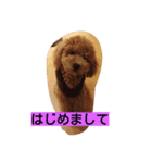 チョコのためいき（個別スタンプ：1）