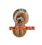 チョコのためいき（個別スタンプ：2）