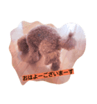 チョコのためいき（個別スタンプ：5）