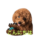 アネラ ミミ（個別スタンプ：1）