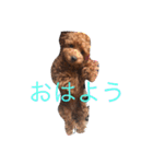 アネラ ミミ（個別スタンプ：2）
