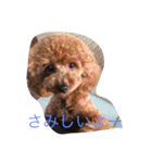 アネラ ミミ（個別スタンプ：5）