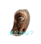 アネラ ミミ（個別スタンプ：6）
