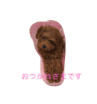 アネラ ミミ（個別スタンプ：8）