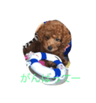 アネラ ミミ（個別スタンプ：9）