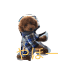 アネラ ミミ（個別スタンプ：10）