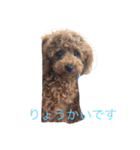 アネラ ミミ（個別スタンプ：14）