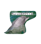 イルカまみれ（個別スタンプ：2）