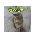 しーちゃんとくりまる（個別スタンプ：7）