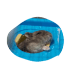 I want to sleep（個別スタンプ：1）