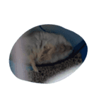 I want to sleep（個別スタンプ：3）