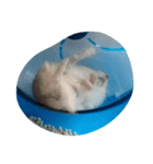I want to sleep（個別スタンプ：4）