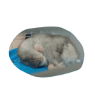 I want to sleep（個別スタンプ：5）