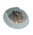 I want to sleep（個別スタンプ：8）
