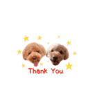 トイプードルココのスタンプ（個別スタンプ：7）