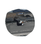 ryotin3（個別スタンプ：3）