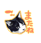ハチワレ猫オルカのスタンプ（個別スタンプ：17）