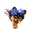 あんことこむさんとだいさん（個別スタンプ：13）