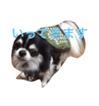 あんことこむさんとだいさん（個別スタンプ：17）