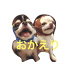 あんことこむさんとだいさん（個別スタンプ：18）