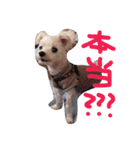 BBAの優雅な日常3（個別スタンプ：5）