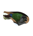 little fly（個別スタンプ：7）