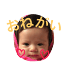ここなっつスタンプ（個別スタンプ：2）