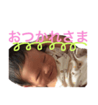 ここなっつスタンプ（個別スタンプ：6）