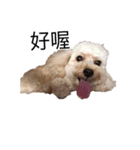 money baby（個別スタンプ：8）