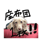 みるちゃんその1（個別スタンプ：8）