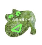 vegiart（個別スタンプ：1）