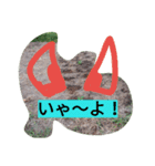 vegiart（個別スタンプ：7）
