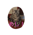 さくらの日々（個別スタンプ：4）