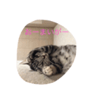 さくらの日々（個別スタンプ：11）