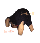1006mybaby（個別スタンプ：2）