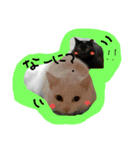 my familyyyyy（個別スタンプ：1）