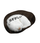 my familyyyyy（個別スタンプ：12）