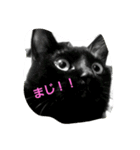 my familyyyyy（個別スタンプ：15）