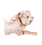 猫のまりぶ（個別スタンプ：2）