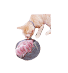 猫のまりぶ（個別スタンプ：17）