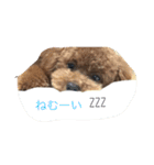 bambiSTAMP（個別スタンプ：1）