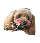 bambiSTAMP（個別スタンプ：3）
