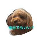 bambiSTAMP（個別スタンプ：5）
