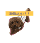 bambiSTAMP（個別スタンプ：7）