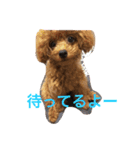 bambiSTAMP（個別スタンプ：9）