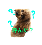 bambiSTAMP（個別スタンプ：11）