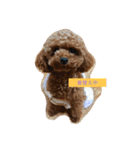 bambiSTAMP（個別スタンプ：13）