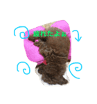 bambiSTAMP（個別スタンプ：14）