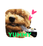 bambiSTAMP（個別スタンプ：15）