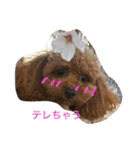 bambiSTAMP（個別スタンプ：16）